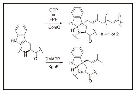 chem70-7-DT_f03.jpg