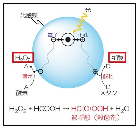 chem73-10-01.jpg