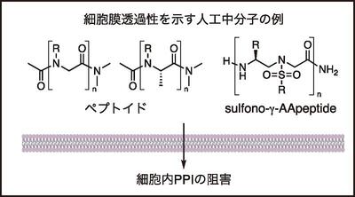 chem75-09-02.jpg