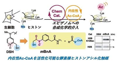 chem76-12-03.jpg