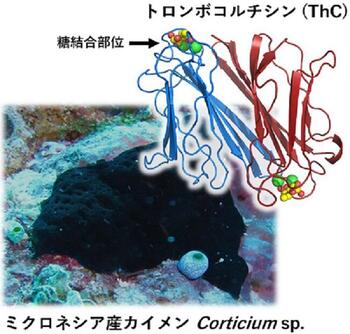 chem77-01-03.jpg