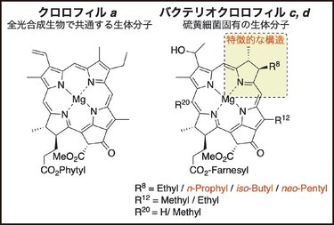 chem78-08-04.jpg