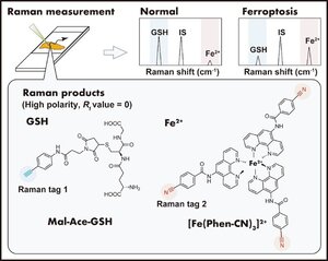 chem79-09-02.jpg