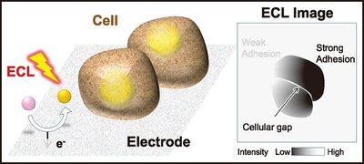 chem79-09-04.jpg
