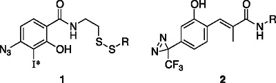 chem-67-12-01.jpg