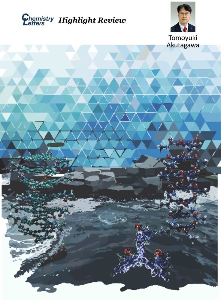 Chem.Lett. Vol.54, upaf184