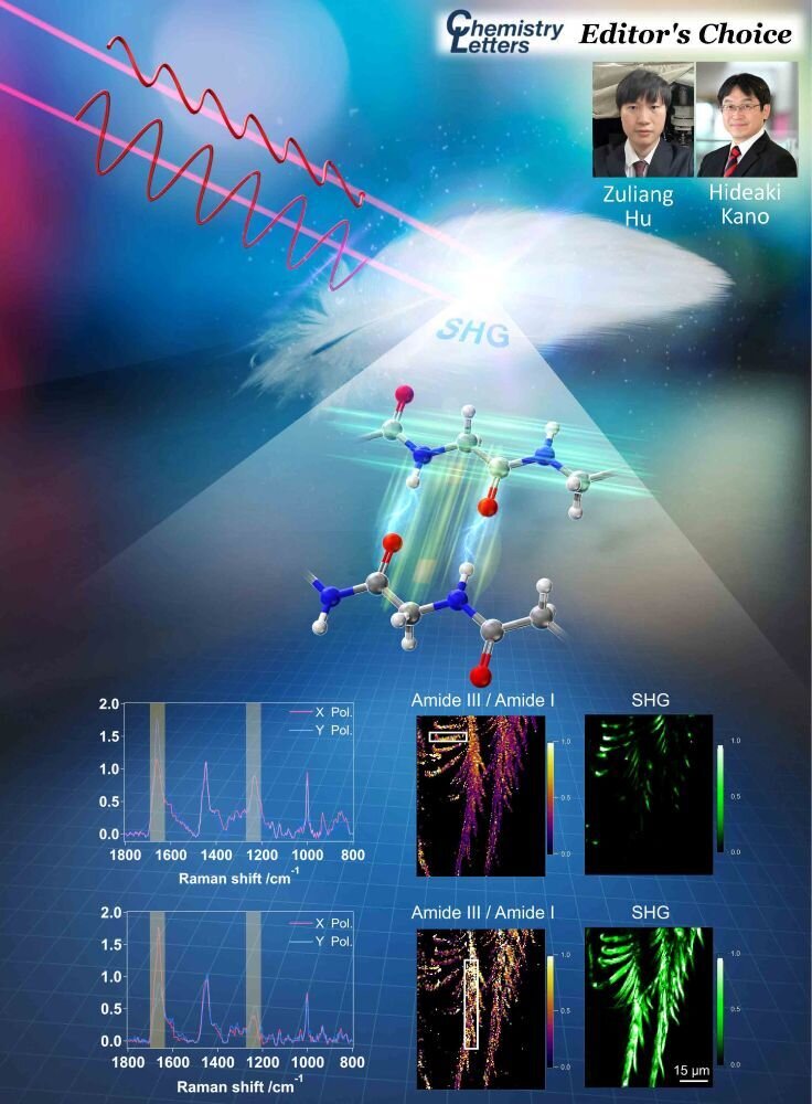 Chem.Lett. Vol.54, upaf207