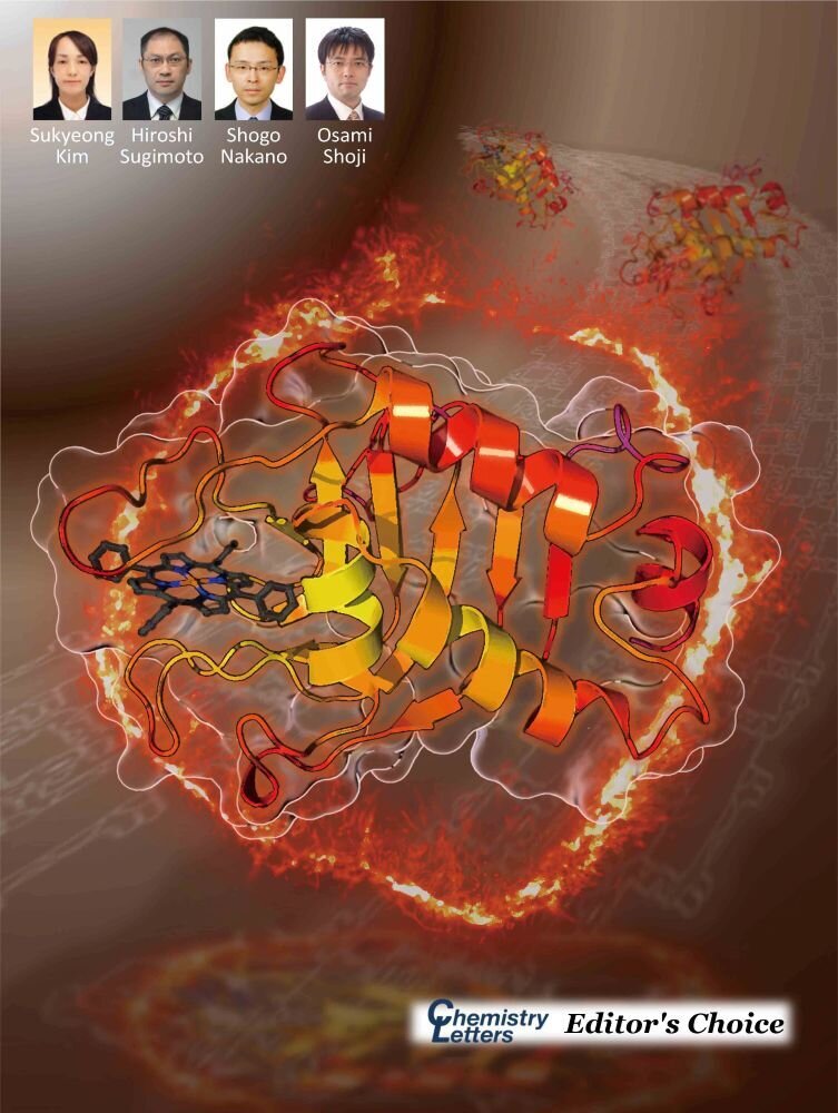 Chem.Lett. Vol.55, upaf236