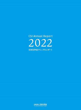 2022_csj_annual_report.jpg